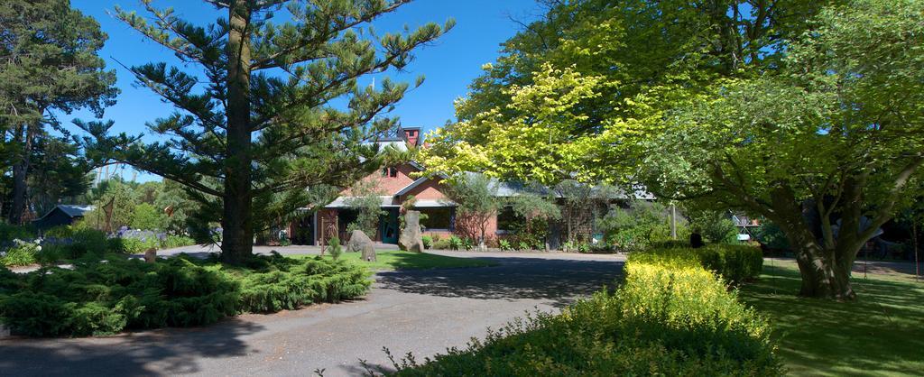 Oakdene Vineyards Guesthouse Wallington Esterno foto